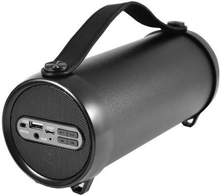 Портативная акустика Cigii S33D Bluetooth Speaker Black